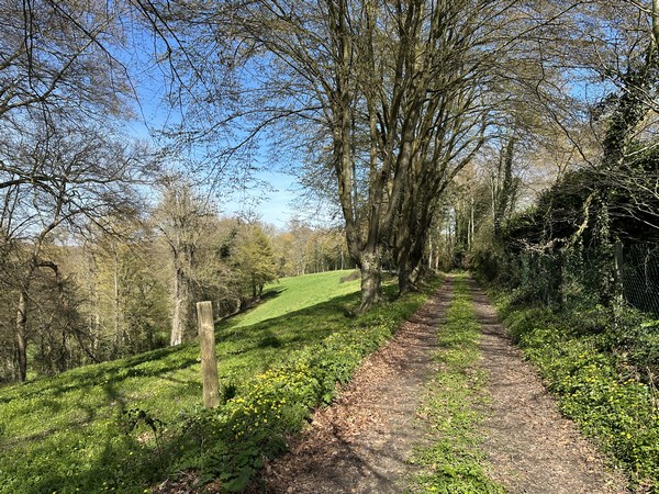 Chemin de la Grotte près du hameau des Broches.