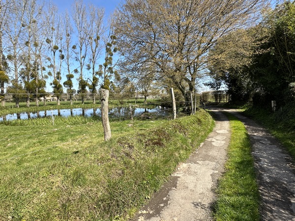Nous avons tourné vers le sud, et marchons sur les chemins et petites routes qui conduisent à Routot.