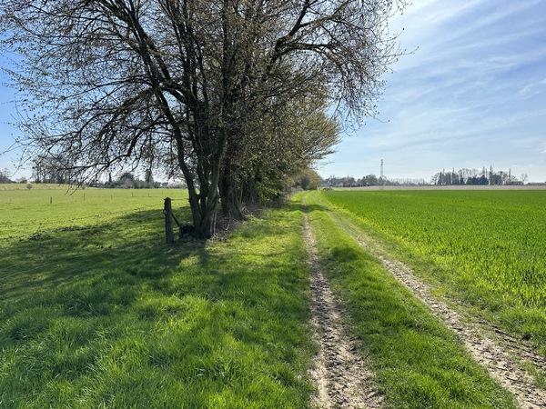 Ce sont des paysages de plaine agricole, les chemins sont agréables.