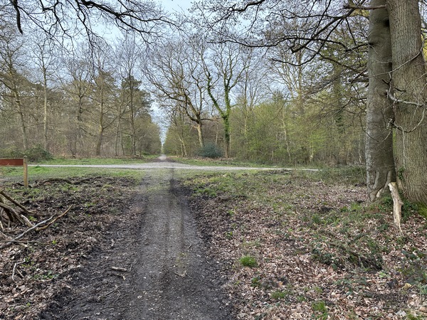 Au carrefour Saint-Georges, je vais prendre à droite pour rejoindre le chemin forestier des Coteaux.
