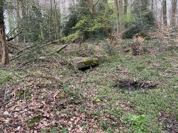 Derrière le Clos à Paons, on peut remarquer une casemate de béton. C'est l'un des vestiges d'une base de lancement de V1. Ce n'était pas la seule base de V1 de la forêt de Roumare. On peut voir d'autres traces de bâtiments à proximité, ainsi que la fosse de la plateforme de lancement.