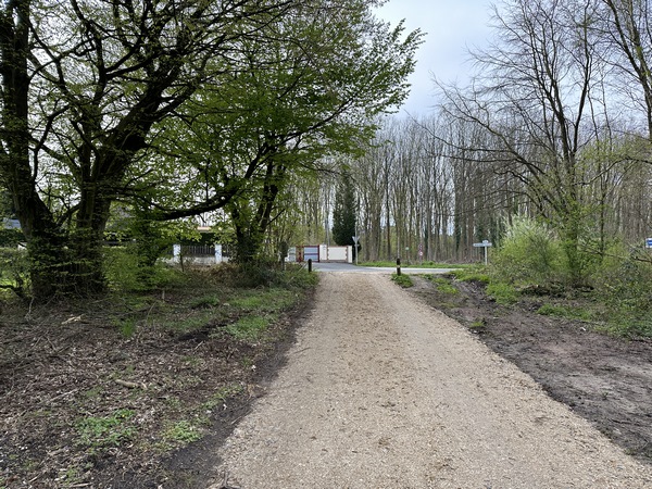 Je monte sur la Butte au Chien et je vais sortir de la forêt à proximité de mon point de départ.