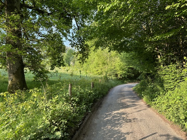 La petite route descend vers le vallon. De chaque côté, ce sont des bois privés, mais celui de droite est ouvert aux marcheurs.