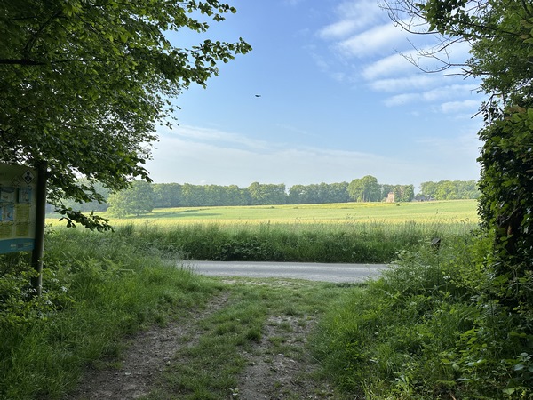 Voici la route du Quesnay, je vais la prendre à gauche.
