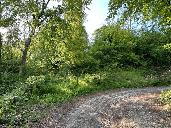 J'arrive au niveau du Laboratoire. Le nom du lieu-dit a, comme toujours, une origine : Henri Gadeau de Kerville, en 1910, a créé ici, dans une ancienne carrière (propriété privée), un laboratoire de zoologie et de botanique. Gadeau de Kerville voulait percer le grand mystère de la vie en s'adonnant à des expériences loin de la lumière du jour... Le laboratoire a "fonctionné" moins de 2 ans, sans résultat semble-t-il. (Ref : Laurent Quevilly)