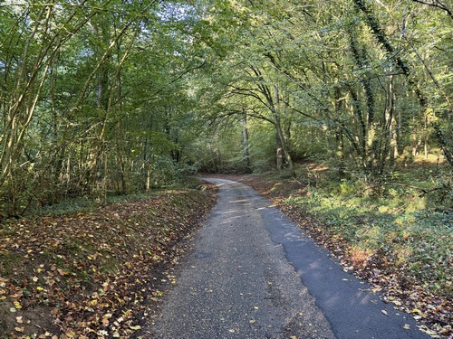 La petite route se glisse entre les bois privés. Celui de droite est autorisé aux marcheurs.