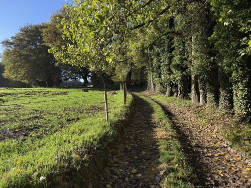 Ce très beau chemin longe le bois des Mines. Attention, il passe au fond du vallon, et en période de forte pluie, il devient totalement impraticable.