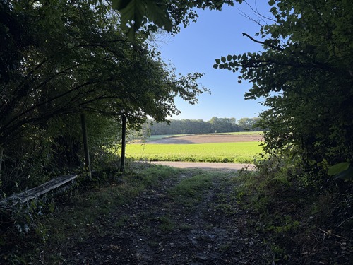 Voici la route du Quesnay, je vais la prendre à gauche.