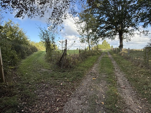 Il est désormais possible d'éviter le hameau de l'Enfer et sa route, en prenant ici à gauche le chemin de lisière du bois des Mines.