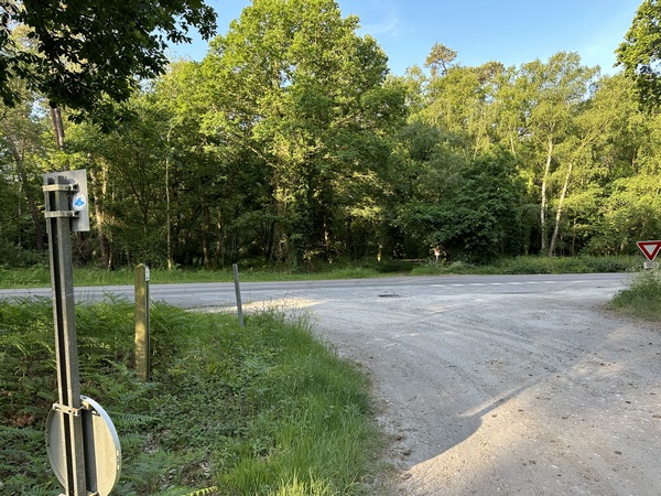 Nous allons traverser la D124 et continuer en face.