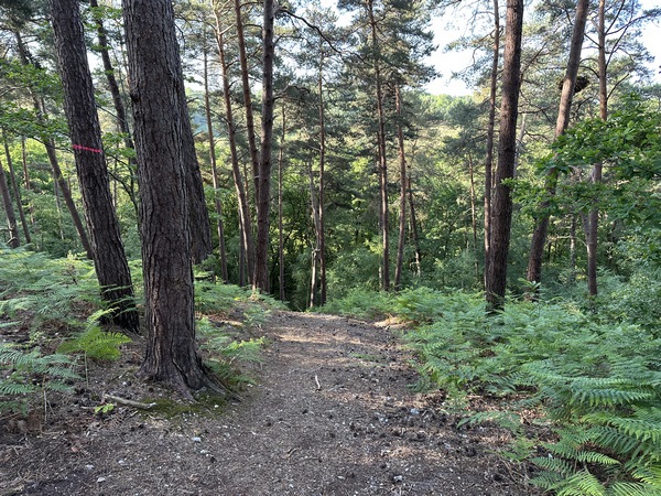 Nous chemin descend vers la Petite Vallée. C'est une descente abrupte et caillouteuse.