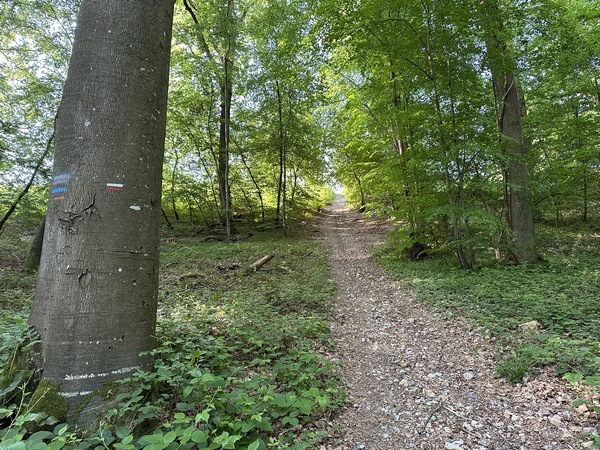 De l'autre côté de la Petite Vallée, la montée est plus douce.