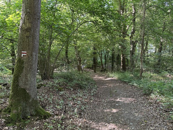 Au sommet, nous allons quitter le GR224RD qui descend vers Pont-Authou. Nous continuons tout droit.