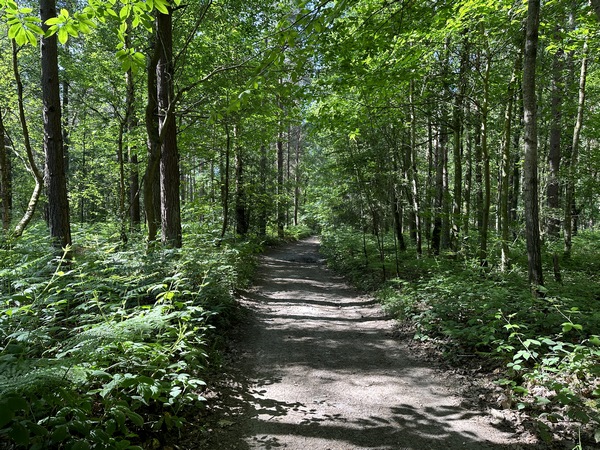 Nous avons retrouvé le GR224 au Bec-Hellouin et le suivons maintenant jusqu'à l'entrée de Brionne.