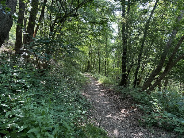 Nous suivons le Chemin du Four à Chaux jusqu'à la rue des Briqueries.
