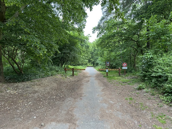Je pars de la rue Pierre Curie et entre immédiatement en forêt départementale du Madrillet.