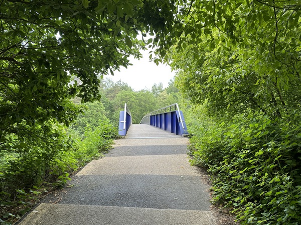 Une passerelle passe au-dessus de la D18E et relie la forêt du Madrillet à la forêt de la Londe - Rouvray.
