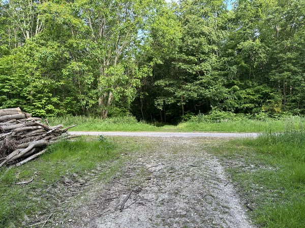 J'arrive sur la route du Fond du Câtelier. Je continue en face.