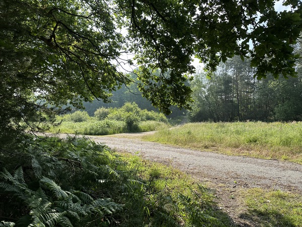 Je traverse à nouveau la route forestière de Belbeuf.