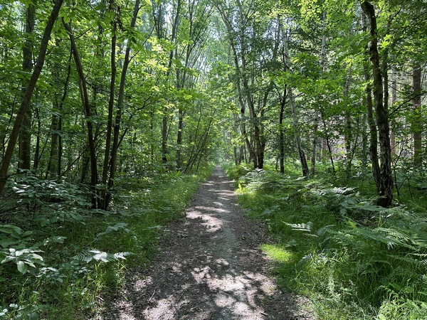 Les chemins sont très agréables sur ce circuit. La plupart sont renforcés, et il me semble qu'ils sont utilisables en période de pluie.