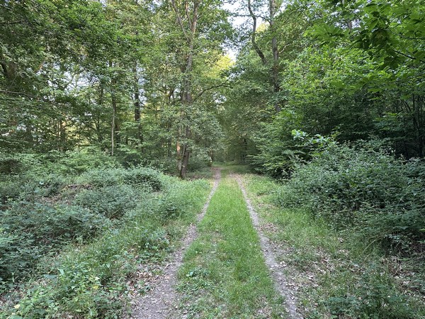 J'arrive sur l'Allée du Château Robert, qui est le chemin que j'aurais dû prendre dès le départ. Je n'ai pas vu ce chemin au départ du parking...