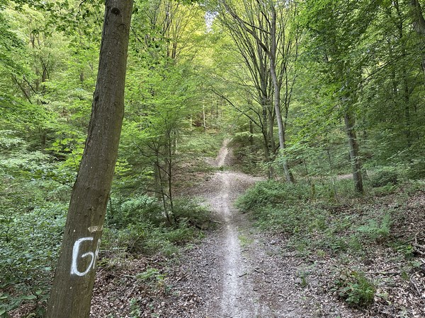 Arrivé dans le vallon, je vois la belle montée en face, mais je vais tourner au chemin que l'on devine à gauche.
