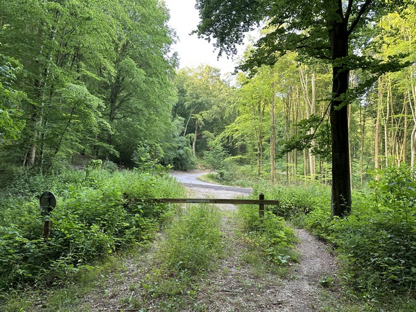 Le chemin débouche sur la route de Moulineaux. Je vais la traverser pour continuer en face.