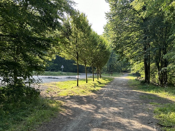 J'arrive au parking de la D64, départ d'une autre de nos randonnées. Mauvaise surprise, un artisan indélicat a abandonné deux monticules de gaines sur le parking... Shame.