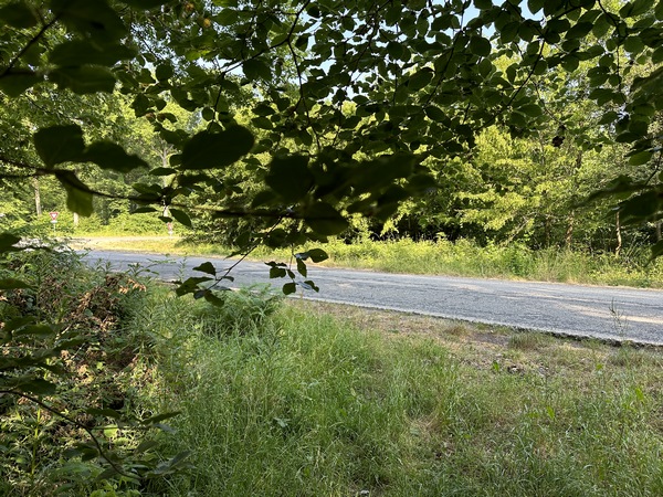 Le sentier débouche directement à quelques pas du parking du carrefour de l'Etoile.