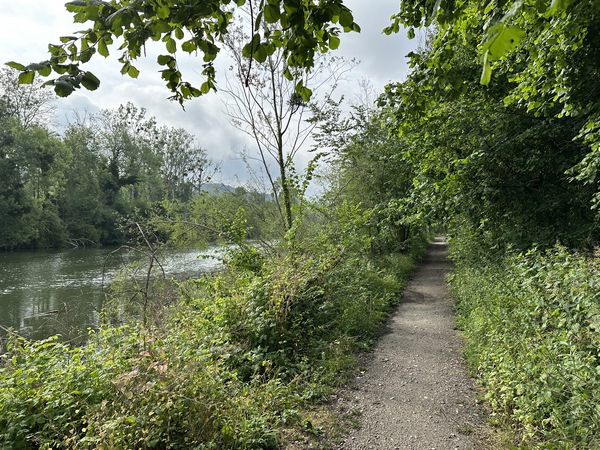 Ou un chemin plus étroit.