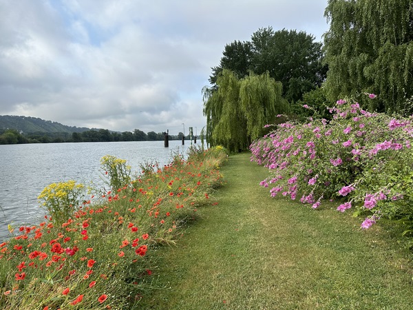 Ou d'un naturel augmenté...