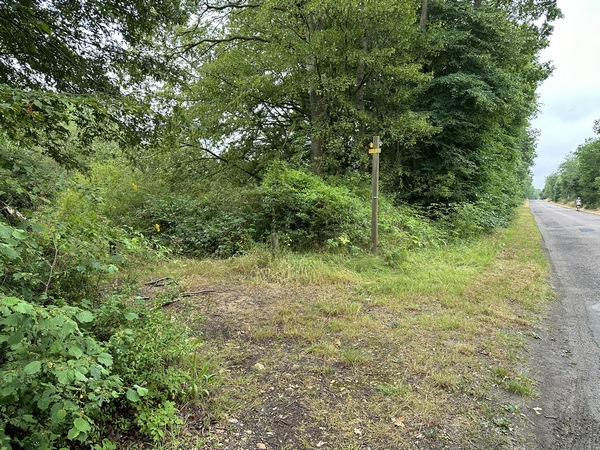 Peu après la stèle de Stéphanie Monnier, nous quittons enfin la route pour tourner ici sur ce sentier.