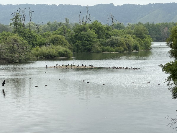 Vue sur la réserve depuis un poste d'observation.