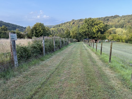 Au Bosc aux Moines, la petite rue devient un vrai chemin (regard arrière).