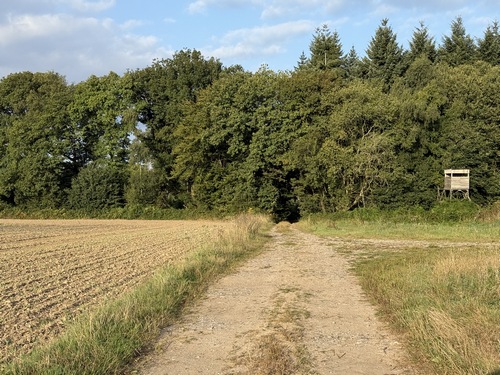Je sors du bois par le chemin de l'Herbage du Piège (regard arrière), en direction de l'impasse de la Folletière.