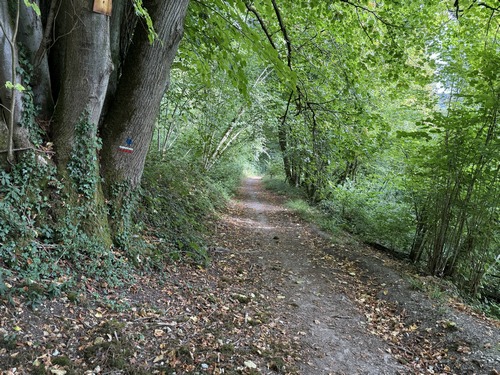 Le GR25c descend maintenant la Sente du Mont-Perreux en direction de Fontaine-sous-Préaux.