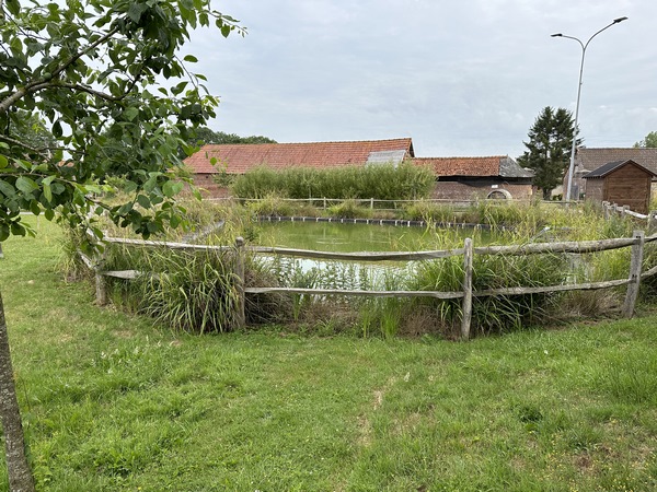 Mare au centre du bourg d'Etocquigny.