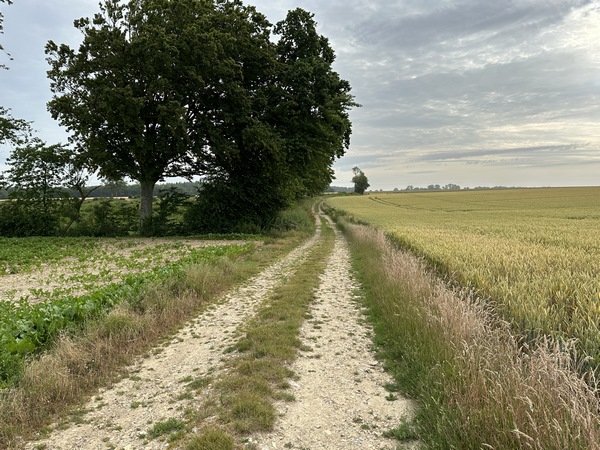 Peu après le centre du hameau, nous prenons ce chemin qui relie Etocquigny à St-Rémy-Boscrocourt.