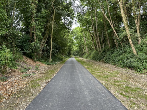 Surprise ! Où est passé le délicieux Chemin Vert du Petit Caux ? La maladie du goudron a encore frappé en 2023 ! Et derrière nous, c'est comme ça jusqu'à Eu !