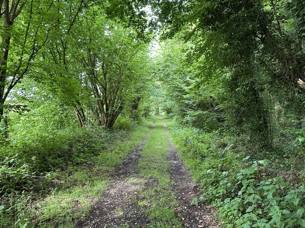 Nous retrouvons le Chemin Vert du Petit Caux, tel que nous l'aimons.