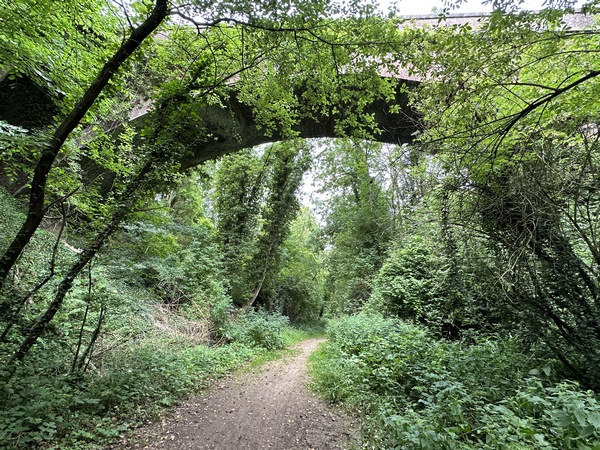 Nous passons sous la passerelle agricole que nous avions utilisée lors de notre rando de Criel-sur-Mer.