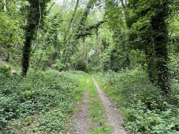 Honte à ceux qui sont en train de bitumer ce merveilleux chemin. Entre parenthèse, sans bitume, ce chemin était déjà utilisé par de nombreux cyclistes !
