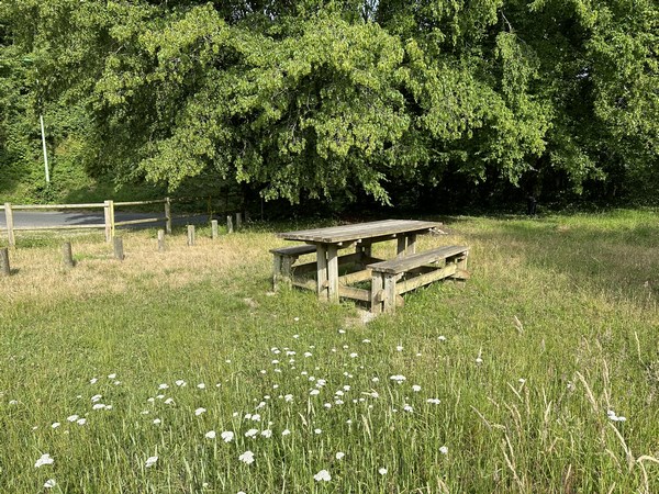 Peu après le viaduc, une aire de pique-nique tombe à point pour une pause de mi-parcours.