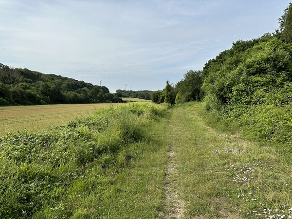 La ligne Dieppe-Eu avait été inaugurée en 1885. Elle constituait l'un des maillons du chemin fer littoral du Tréport au Havre. Le trafic voyageurs ferme en 1938, et le trafic marchandises en 1972. En 1986, 17km sont rachetés à la SNCF pour créer le Chemin Vert du Petit Caux. (Et en 2023 on commence à bitumer ce chemin vert !)