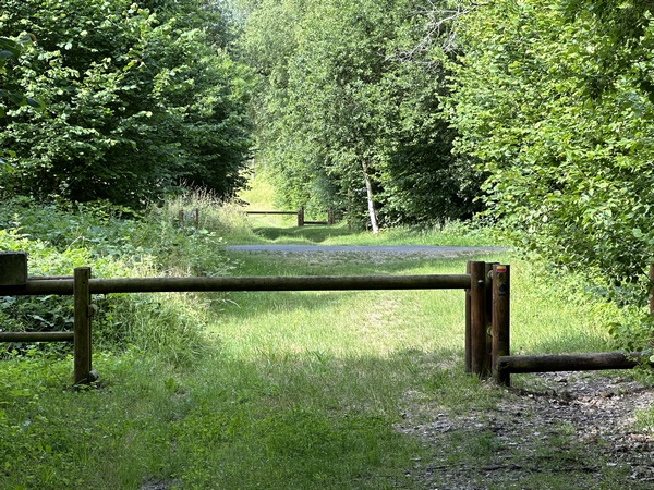 Nous allons quitter le Chemin Vert pour tourner ici à gauche sur la petite route (D113).