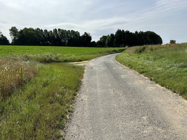 Un peu plus loin, nous quittons la D113 pour tourner ici à gauche sur le chemin.