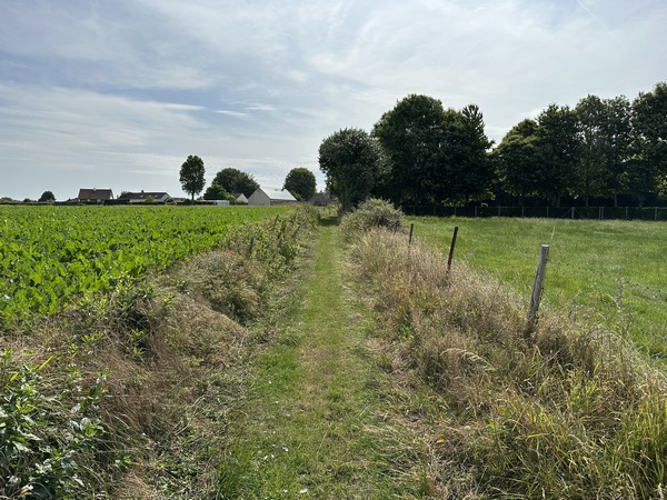 Nous allons arriver dans la rue des Potiers de Canehan.