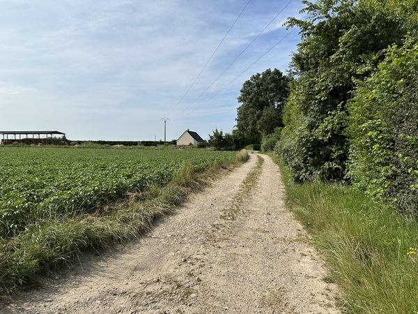 Nous longeons le bourg par ce chemin parallèle à la rue des Potiers.