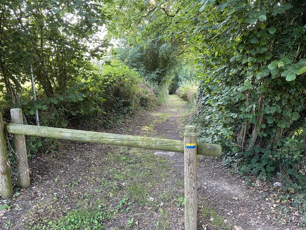 Depuis le départ, nous suivons les balises jaunes et bleues des Chemins de Compostelle.&nbsp;