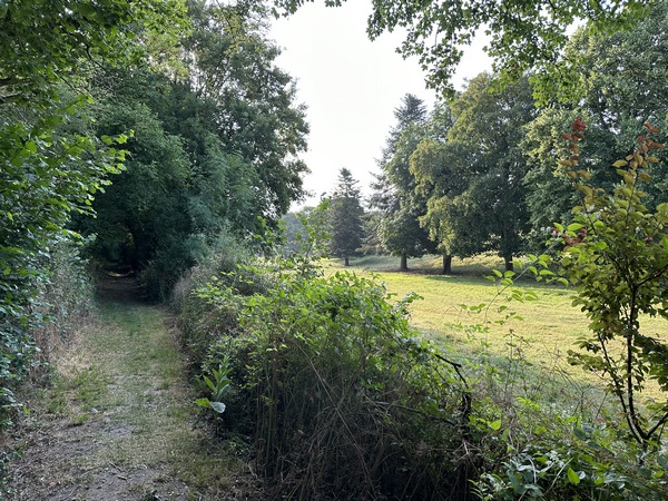 Le premier bois longe Saint-Didier, avant d'entrer dans le bois d'Argeronne.